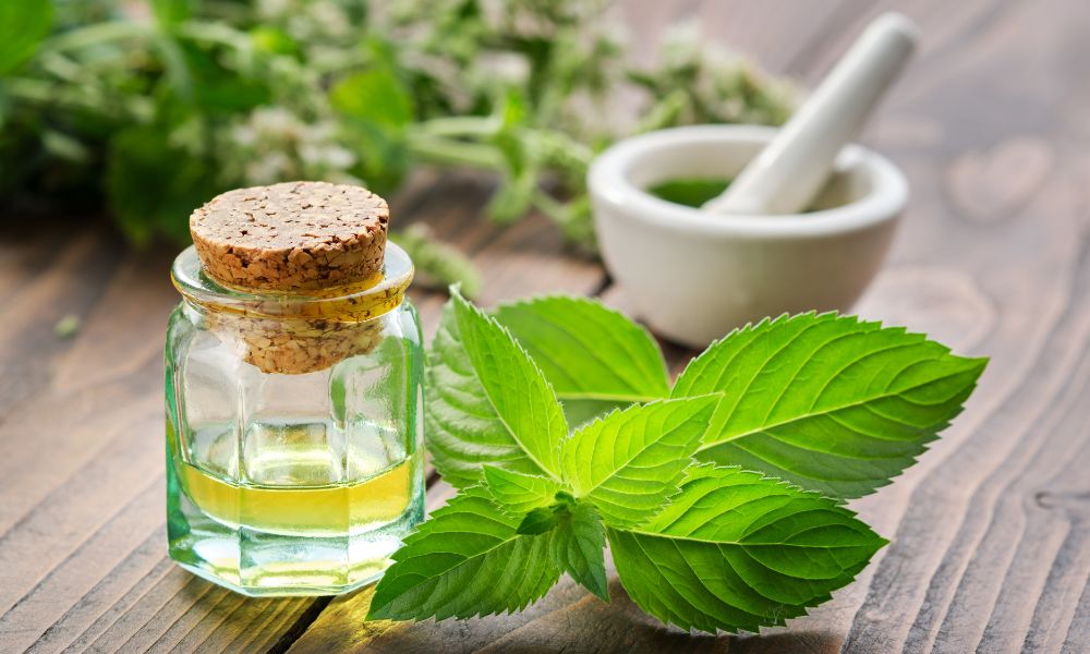 MLHS BIMG PepperM EO