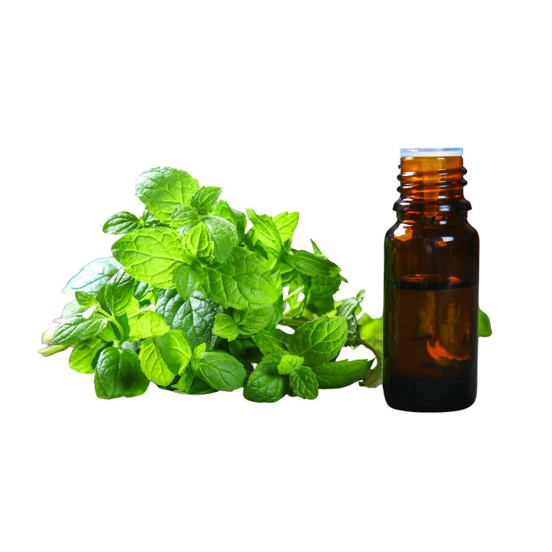 Peppermint Oil