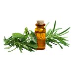 Tea Tree Oil