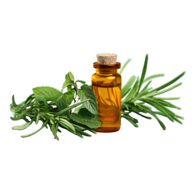 Tea Tree Oil