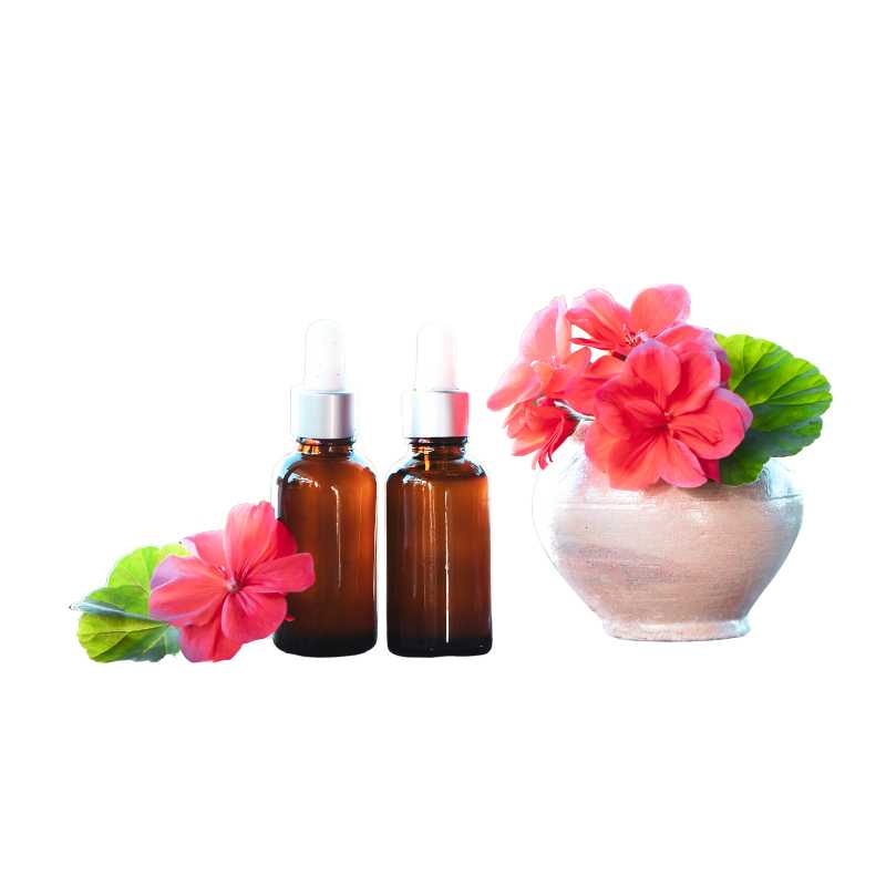 Geranium Oil