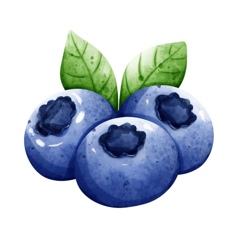Blueberry Extract